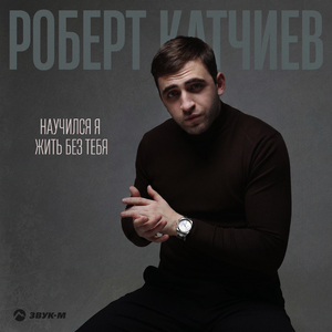 Научился я жить без тебя