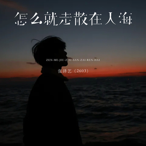 怎么就走散在人海