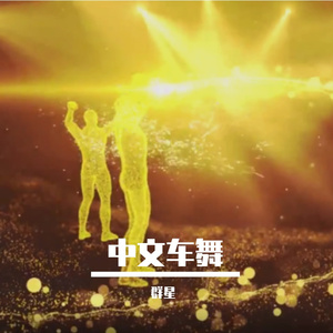 葛林-林中鸟 （土嗨 remix）宁音社