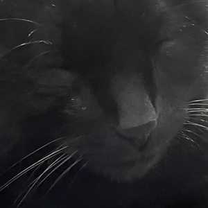 美丽火辣性感的女人