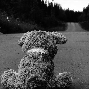 背叛全世界（翻自 江潮）