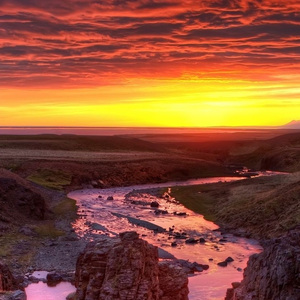 忧伤入了骨-含大仙儿