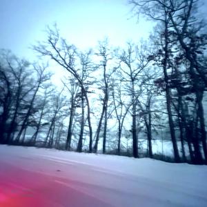 maple in the snow (slowed)