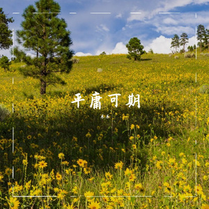 爱如潮水（烟嗓）