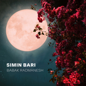 Simin Bari