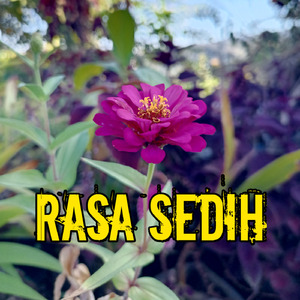 Rasa Sedih