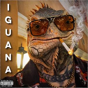 Iguana
