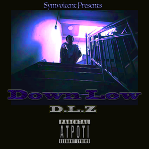 Down Low (Prod.by 今晚吃鱼丸)