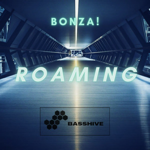 Roaming