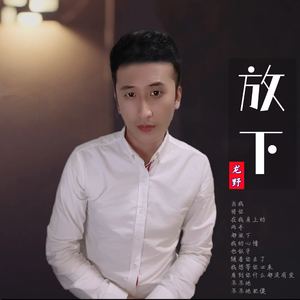 龙野 - 无情风雨无情的你