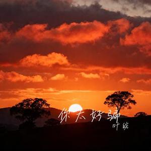 你太好骗 (Cover 向思思)