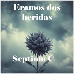 Eramos dos heridas