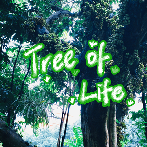 The Tree of Life (cover Khalil）