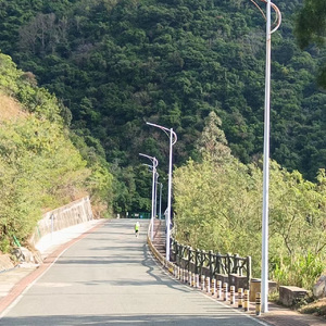 「FREE」'tree alive'. Beat