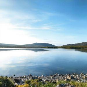 傻女（港风乐队版)