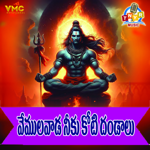 Vemulawada Neku Koti Dandalu