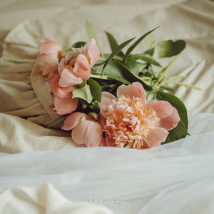 겨울밤에 듣기 좋은 노래