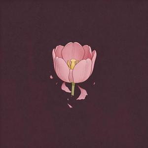 春天花会开（R&B）