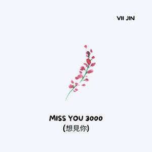 Miss You 3000 (想見你)