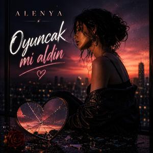 Oyuncak mı aldın
