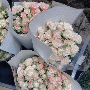 我是图图小淘气