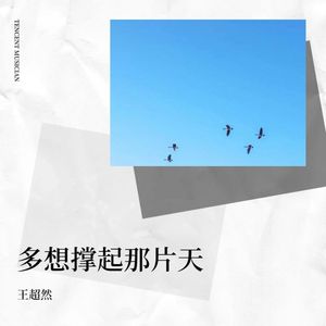 多想撑起那片天