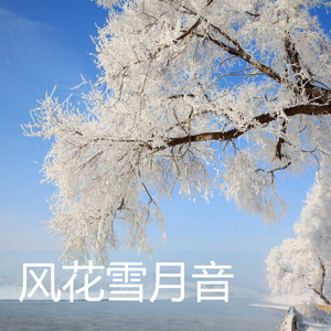风花雪月音