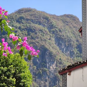 无能为力-雷二宝