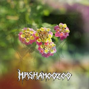 Fragile Memory (feat. Over Anna)