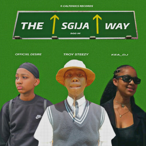 The sgija way