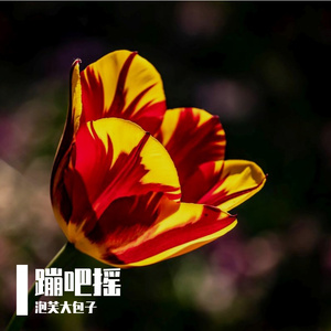 荒域暗调失真节拍
