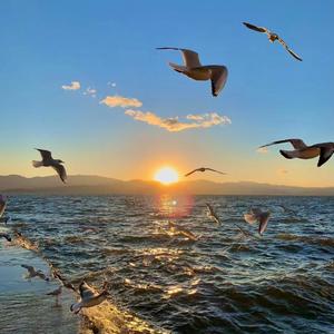 你不要担心（1998）