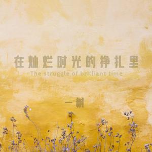 在灿烂时光的挣扎里