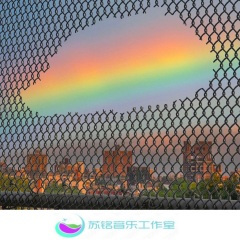 社会小调
