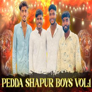 PEDDA SHAPUR BOYS DOSTHANA VOLUME-1