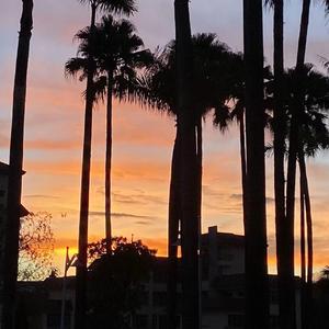 日落西升（Prod by Siren）