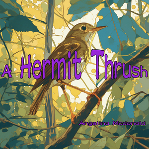 A Hermit Thrush