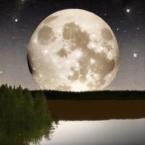 明月夜