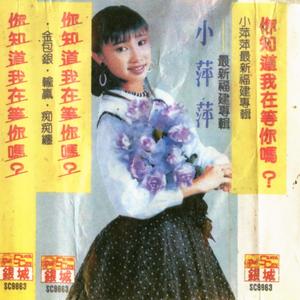 输赢（磁带版）