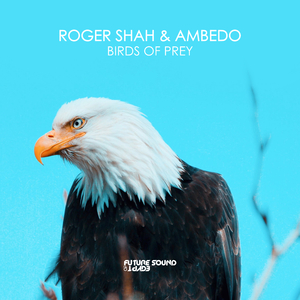 Birds Of Prey (Extended Mix)