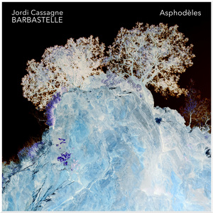 Asphodèles
