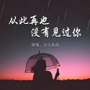 从此再也没有见过你