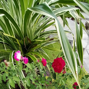 Ingat Akan Kehadiranmu