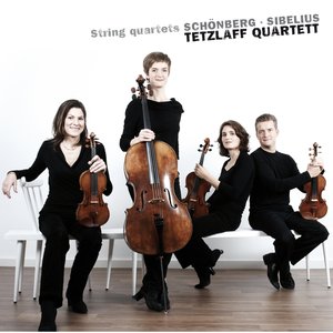 String Quartet No. 1 in D Minor, Op. 7: I. Kopfsatz: Nicht zu rasch