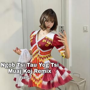 Ngob Tsi Tau Yog Tsi Muaj Koj（Remix）
