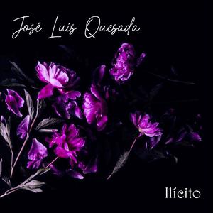 Ilicito