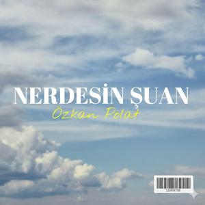 Nerdesin Şuan-Beatbox Rap