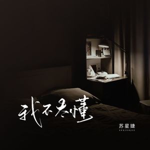 我不太懂（校园广播版）