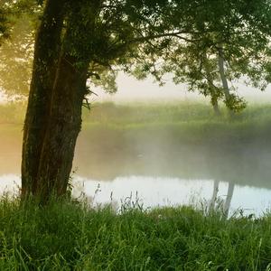 Псалом 14 (осанна)