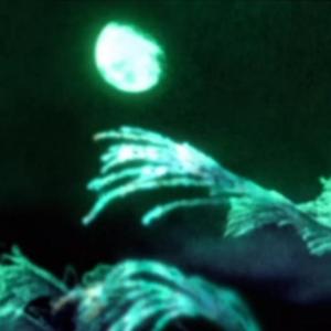 该为谁送上祝福